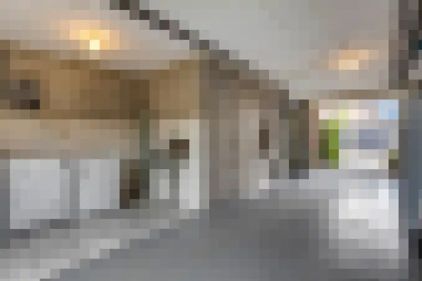 Kerkepad 15 Eemdijk thumbnail 35