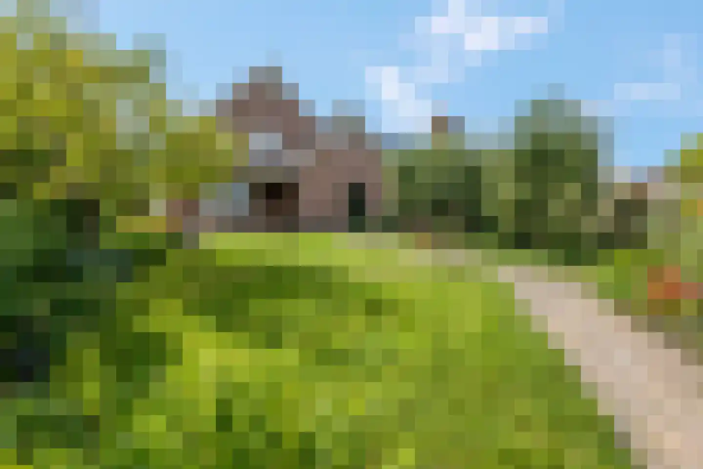 Kerkepad 15 Eemdijk thumbnail 36