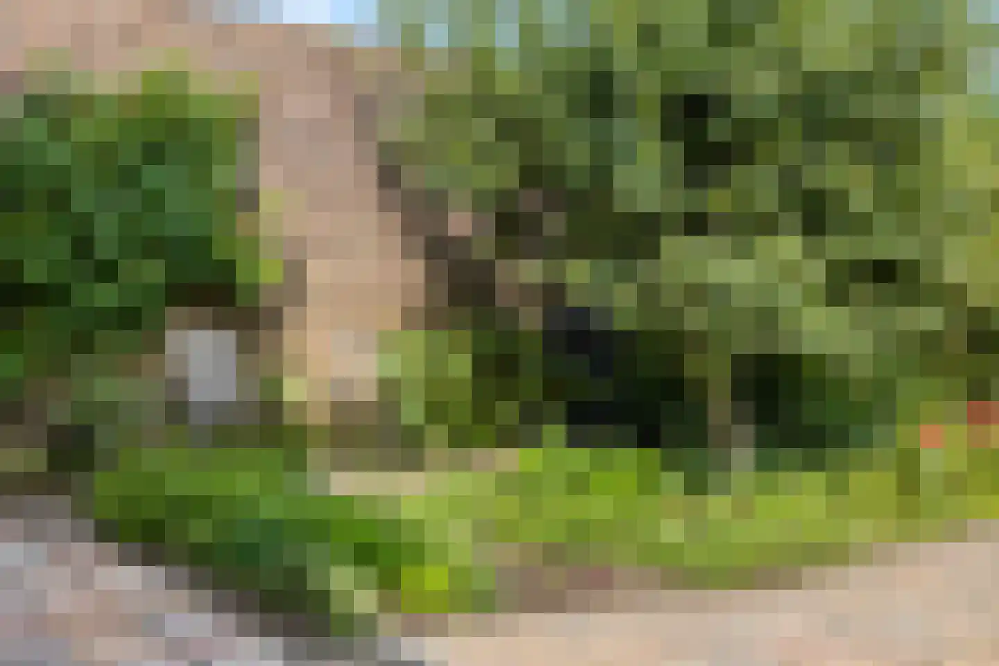 Kerkepad 15 Eemdijk thumbnail 41