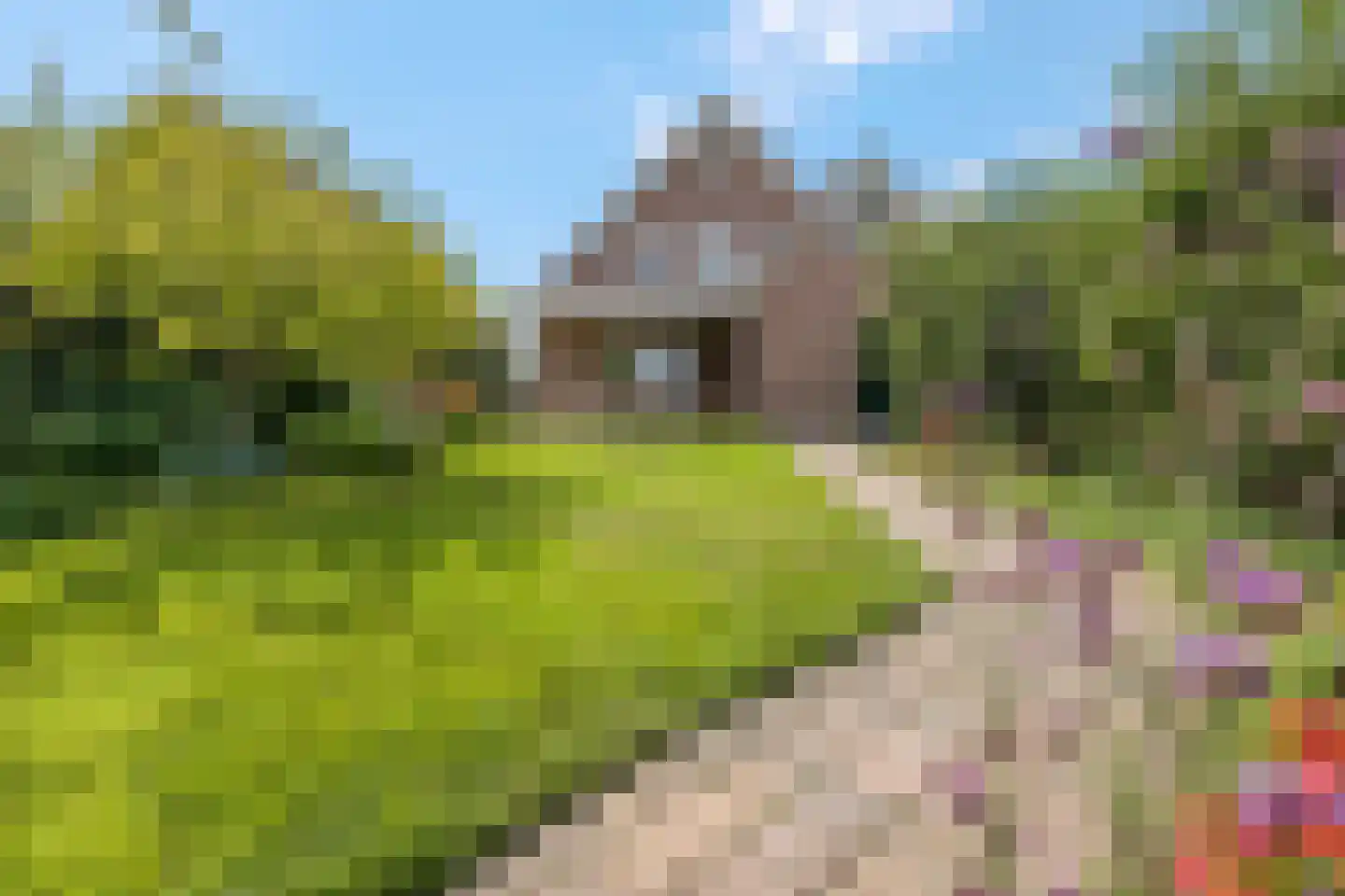 Kerkepad 15 Eemdijk thumbnail 42