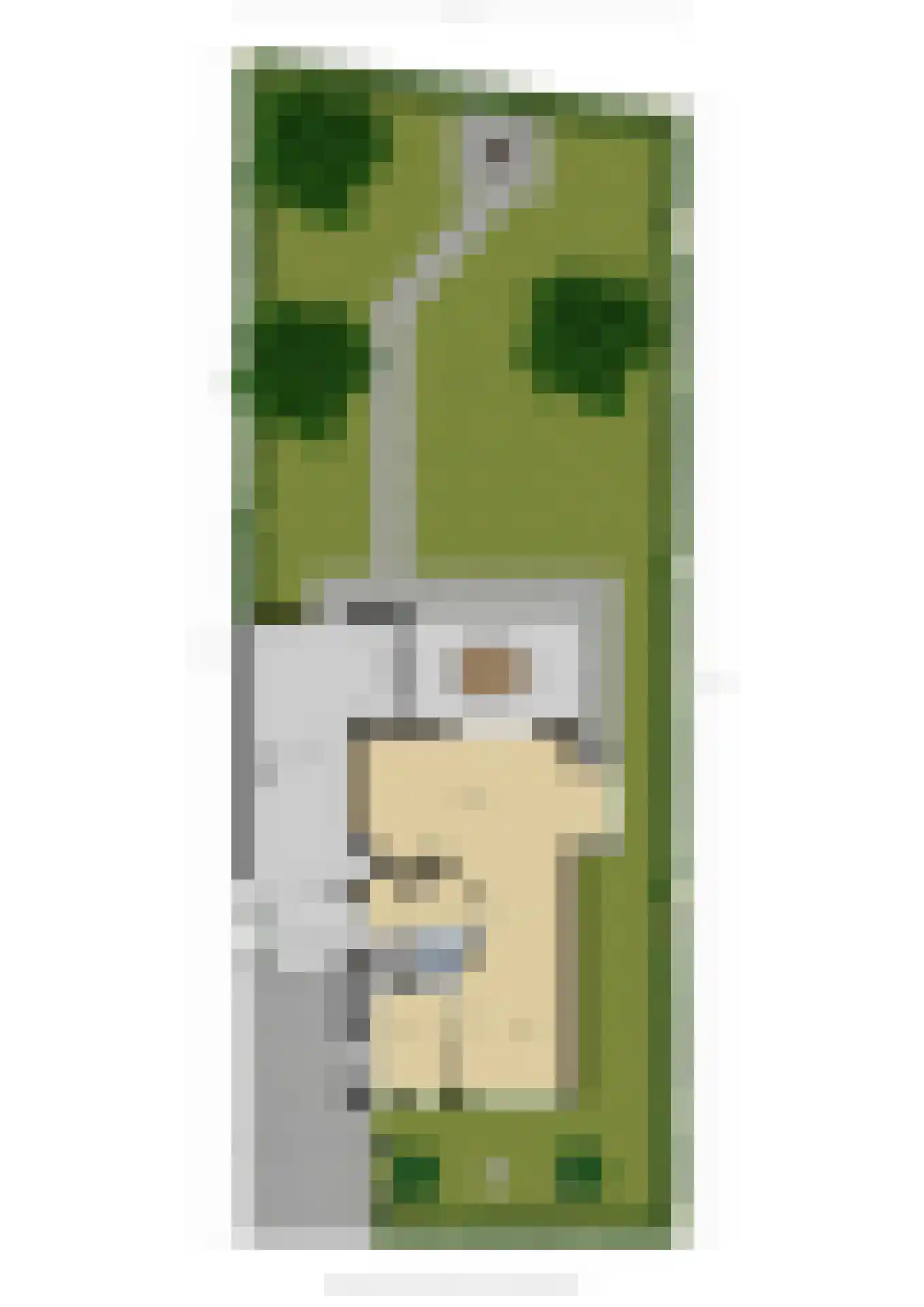 Kerkepad 15 Eemdijk thumbnail 55