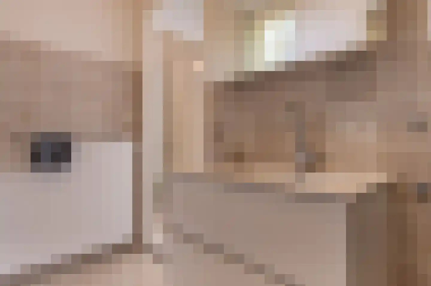 Kerkepad 2 Edam thumbnail 26