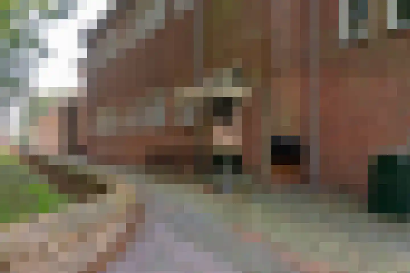 Kerkepad 2 Edam thumbnail 32