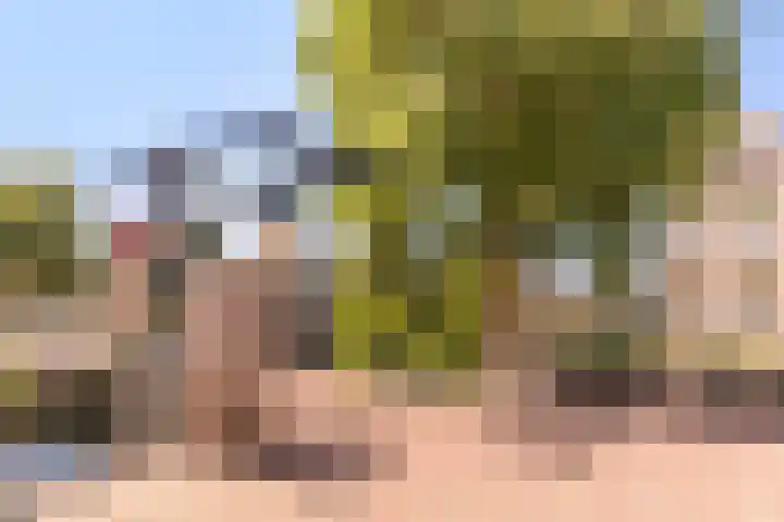 Kerkepad 20 Volendam thumbnail 27