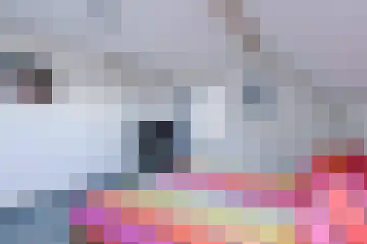 Kerkepad 28 Schagen thumbnail 22