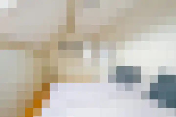 Kerkepad 28 Schagen thumbnail 24