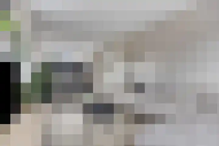 Kerkepad 4 Kolhorn thumbnail 13