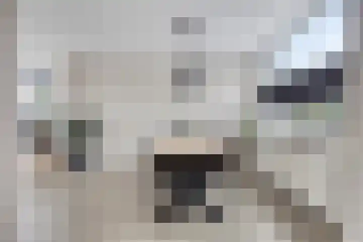 Kerkepad 4 Kolhorn thumbnail 16
