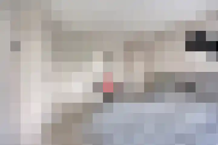 Kerkepad 4 Kolhorn thumbnail 25