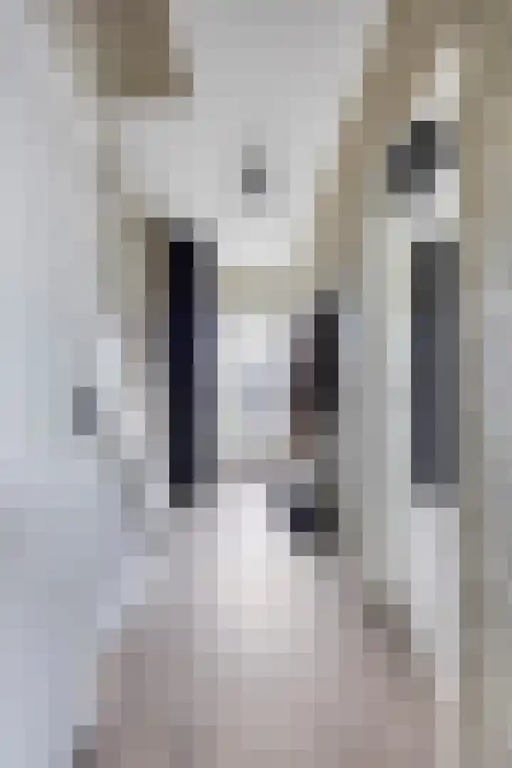 Kerkepad 4 Kolhorn thumbnail 8