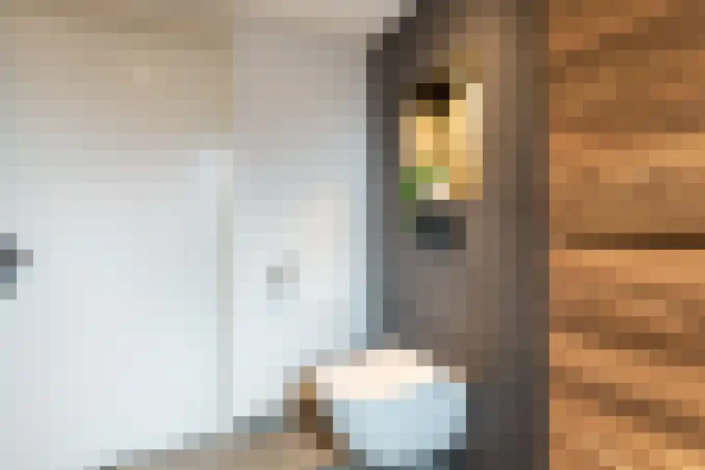 Kerkepad 47 Eemdijk thumbnail 32