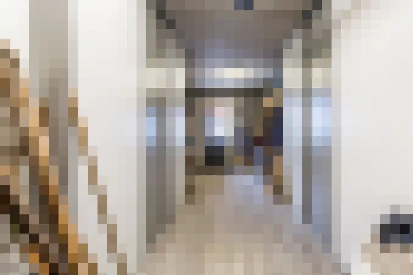 Kerkepad 47 Eemdijk thumbnail 43
