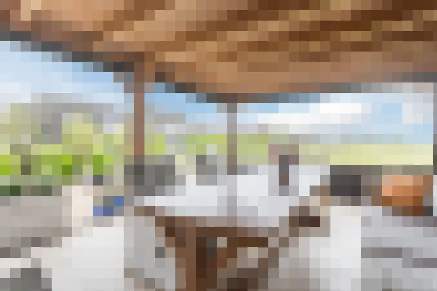 Kerkepad 47 Eemdijk thumbnail 46