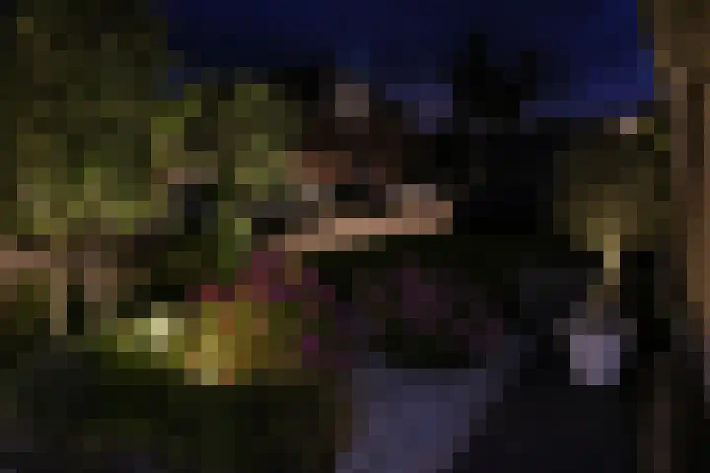 Kerkepad 47 Eemdijk thumbnail 54