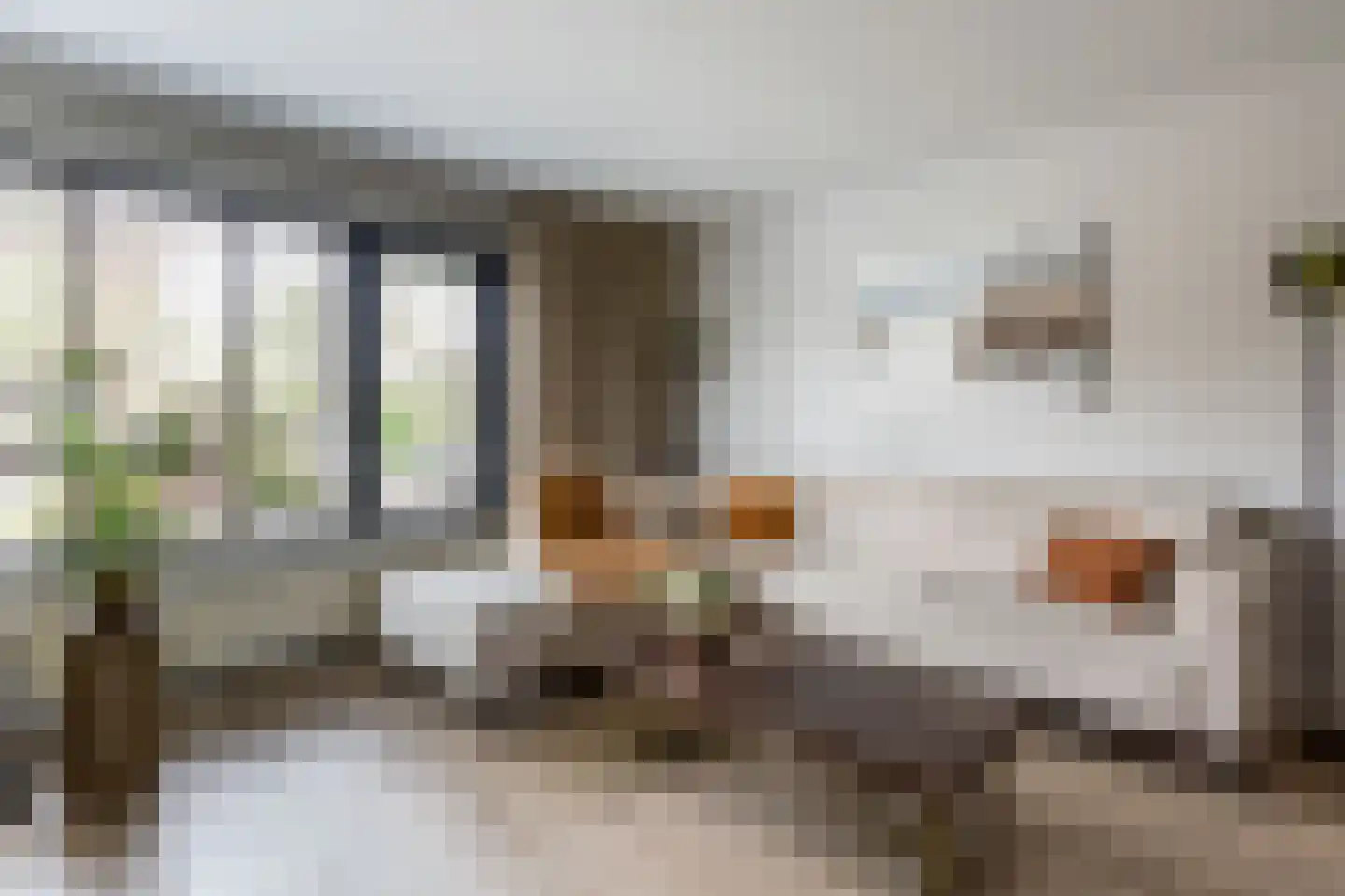 Kerkepad 47 Eemdijk thumbnail 6