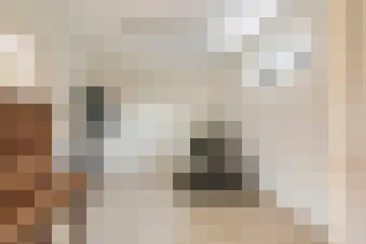 Kerkepas 2 A Druten thumbnail 14