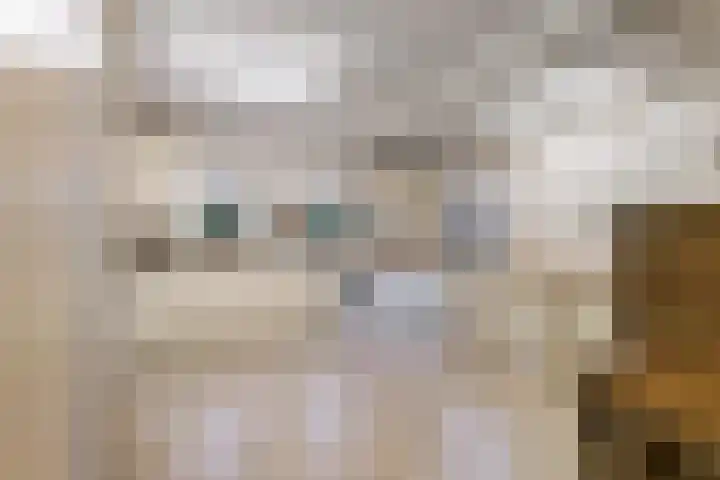 Kerkepas 2 A Druten thumbnail 15