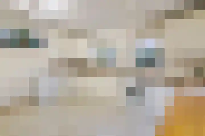 Kerkepas 2 A Druten thumbnail 16