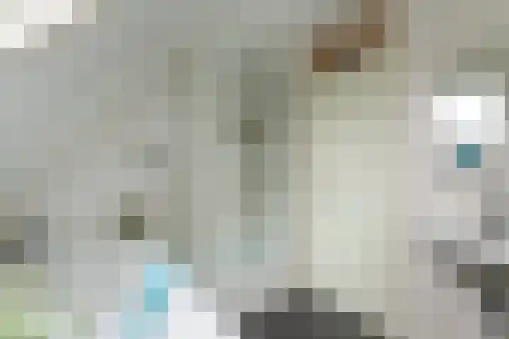 Kerkepas 2 A Druten thumbnail 22