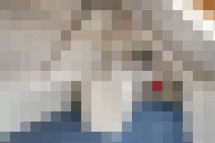 Kerkepas 2 A Druten thumbnail 33