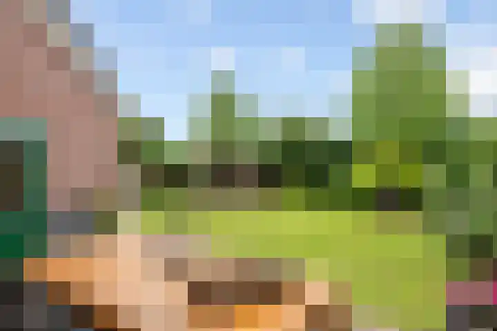 Kerkepas 2 A Druten thumbnail 35