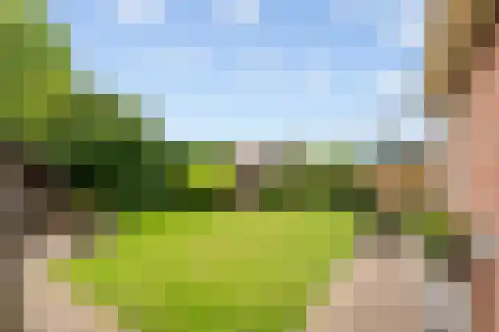 Kerkepas 2 A Druten thumbnail 36