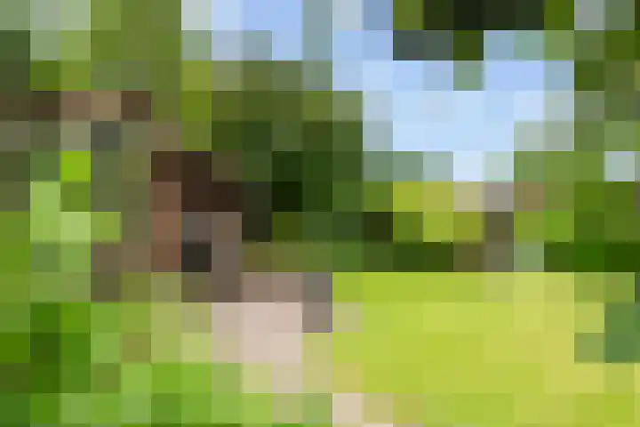 Kerkepas 2 A Druten thumbnail 37