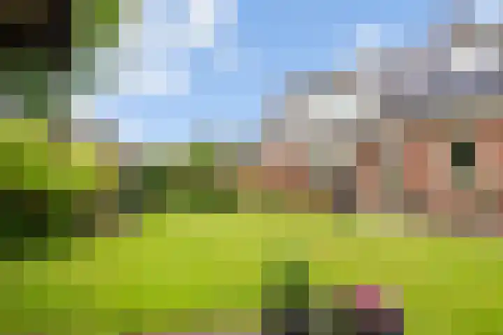 Kerkepas 2 A Druten thumbnail 39