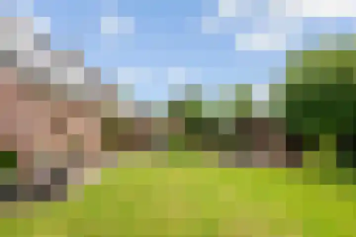 Kerkepas 2 A Druten thumbnail 40