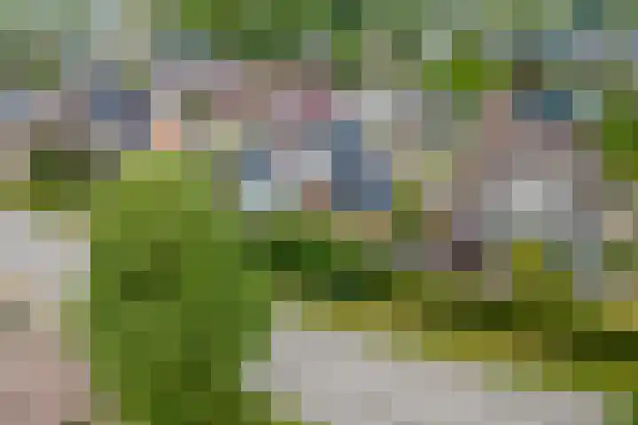 Kerkepas 2 A Druten thumbnail 43
