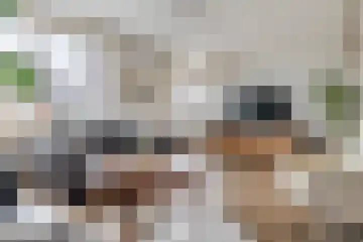 Kerkepas 2 A Druten thumbnail 6