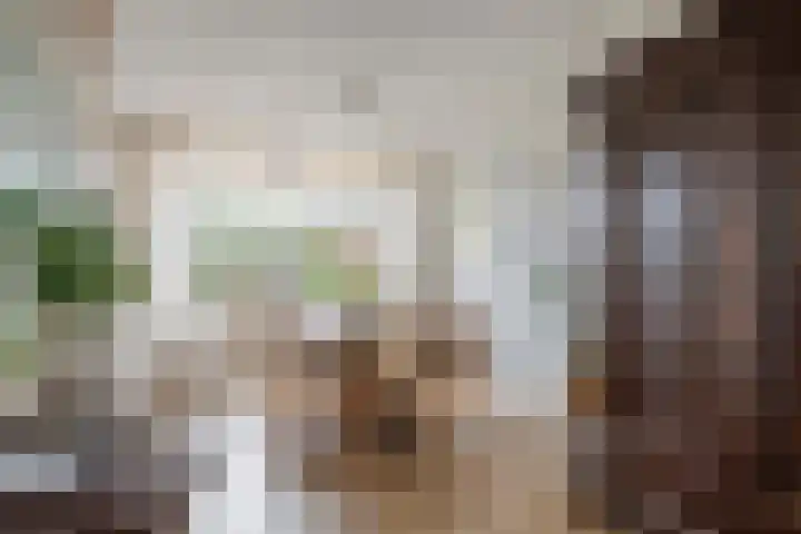 Kerkepas 2 A Druten thumbnail 7