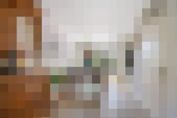 Kerkepas 4 Druten thumbnail 11