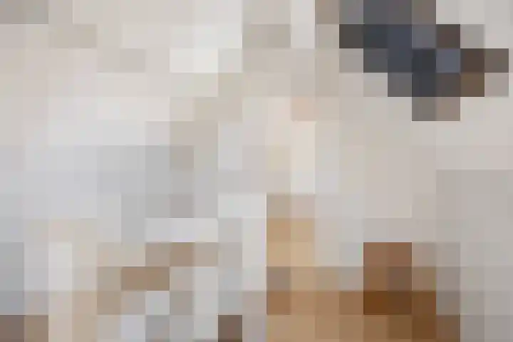 Kerkepas 4 Druten thumbnail 31