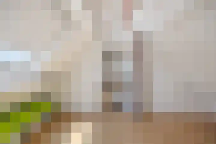 Kerkepas 4 Druten thumbnail 32