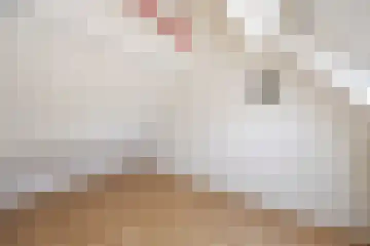 Kerkepas 4 Druten thumbnail 33
