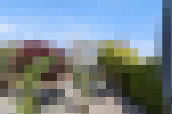 Kerkepas 4 Druten thumbnail 34