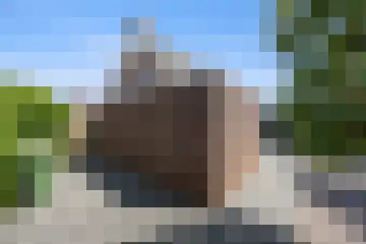 Kerkepas 4 Druten thumbnail 39