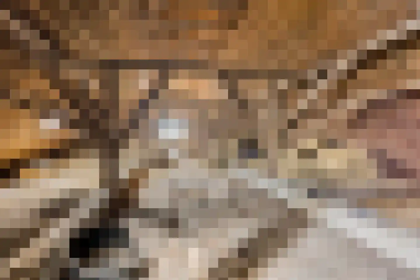 Kerkereed 8 Donkerbroek thumbnail 28