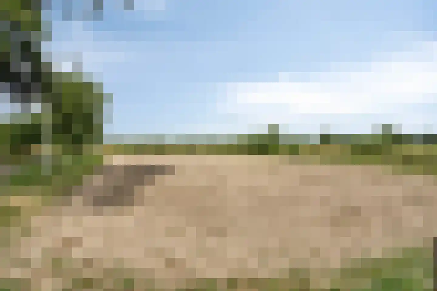 Kerkereed 8 Donkerbroek thumbnail 40