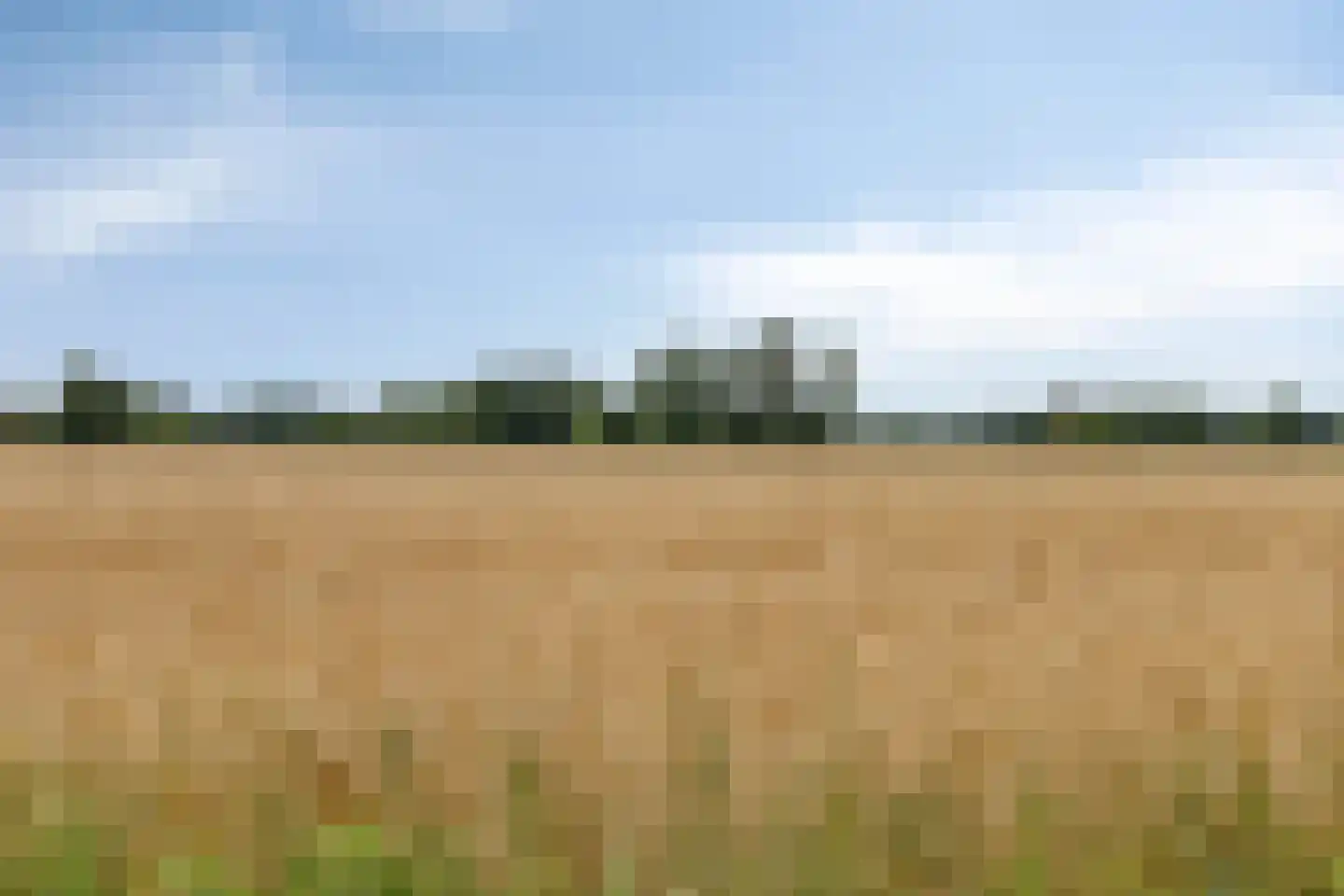 Kerkereed 8 Donkerbroek thumbnail 42