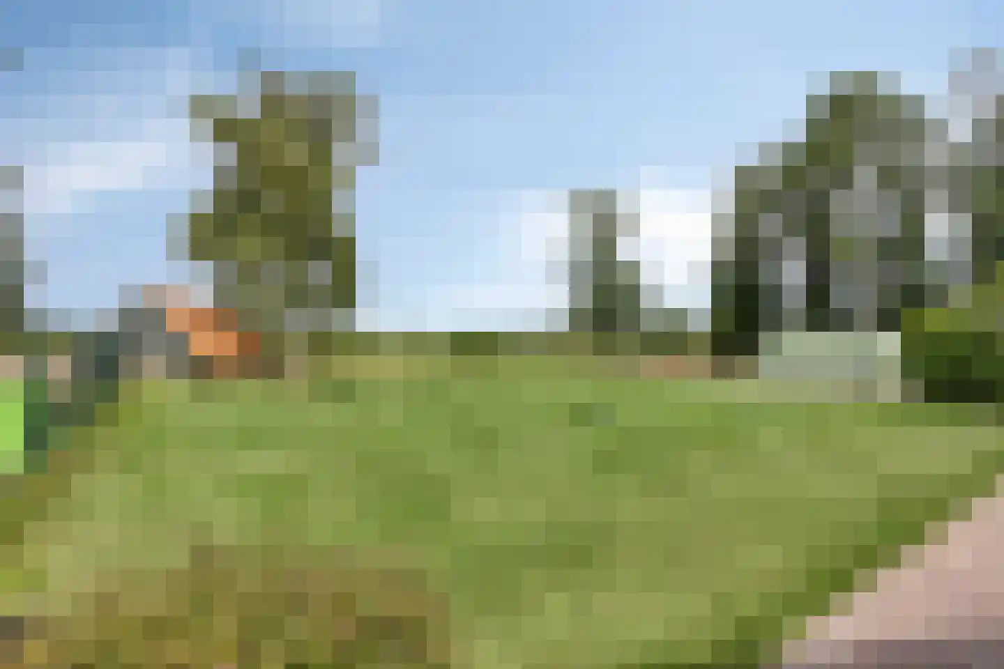 Kerkereed 8 Donkerbroek thumbnail 43