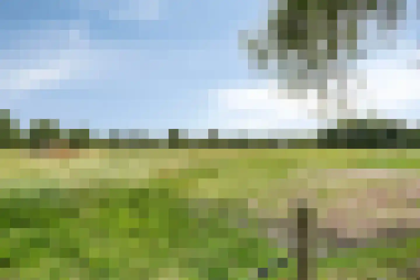 Kerkereed 8 Donkerbroek thumbnail 47