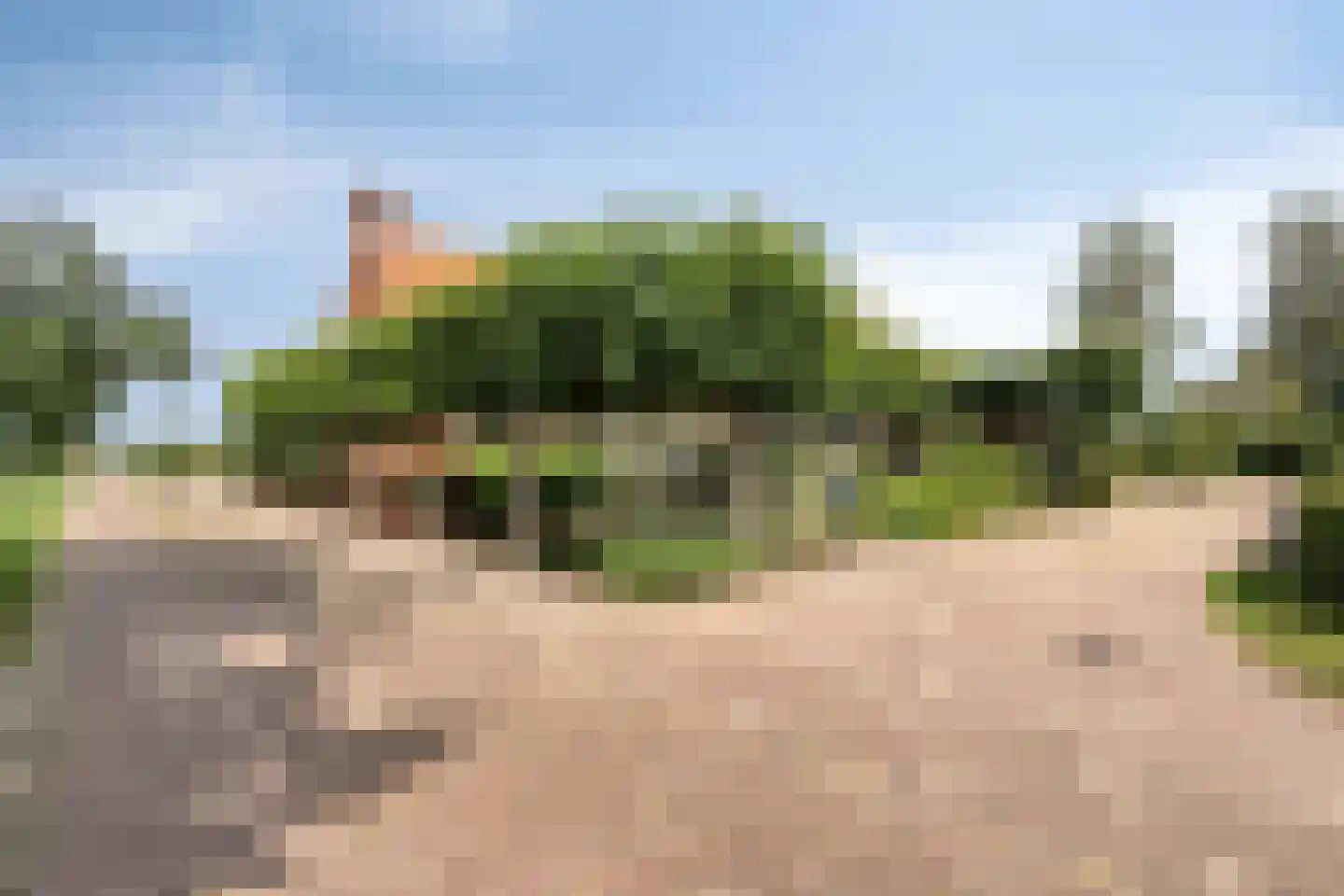 Kerkereed 8 Donkerbroek thumbnail 5