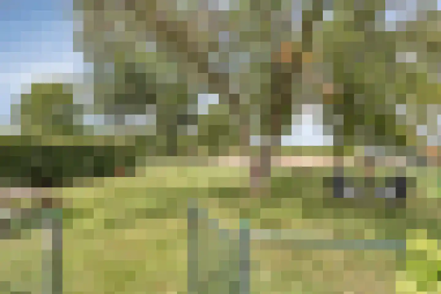 Kerkereed 8 Donkerbroek thumbnail 6