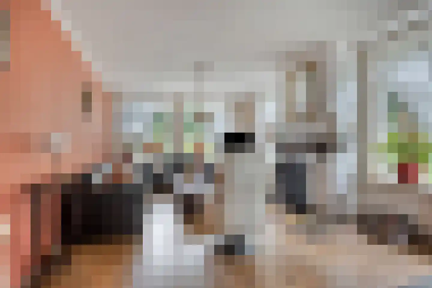 Kerkereed 8 Donkerbroek thumbnail 8