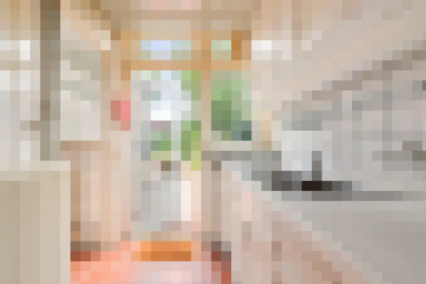 Kerkerinklaan 11 Santpoort-Noord thumbnail 23