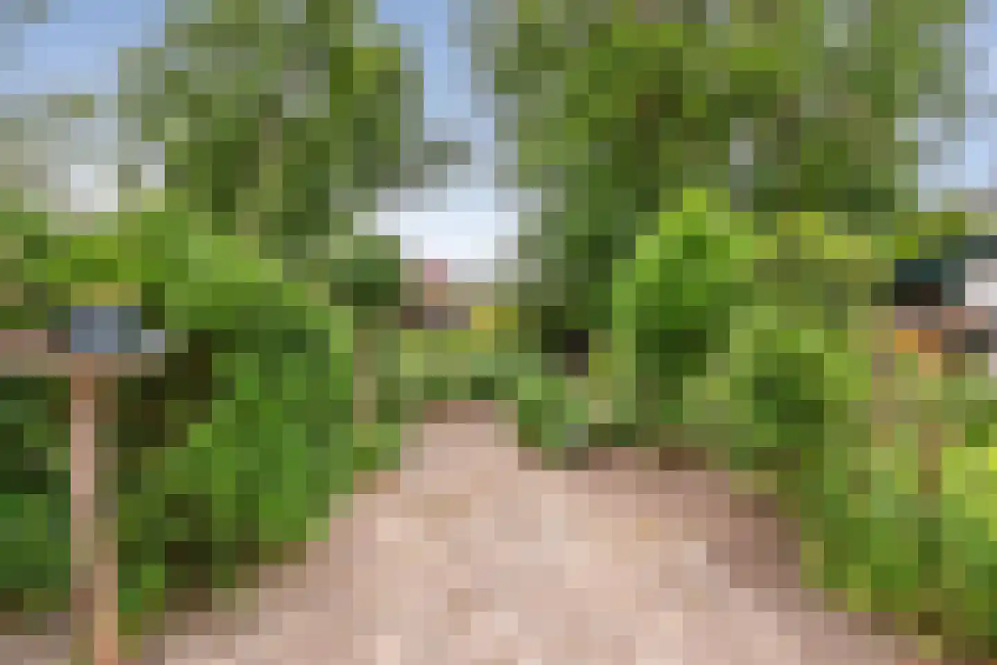 Kerkerinklaan 11 Santpoort-Noord thumbnail 27