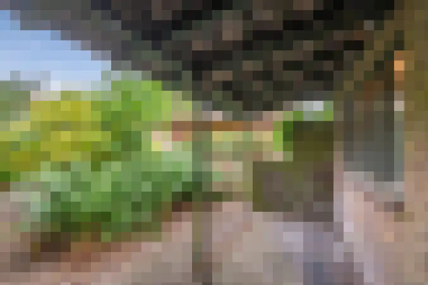 Kerkerinklaan 11 Santpoort-Noord thumbnail 30