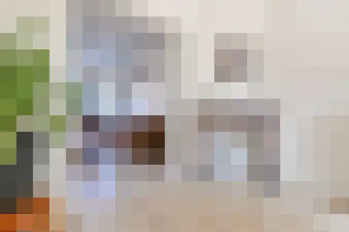 Kerkerinklaan 15 Santpoort-Noord thumbnail 11